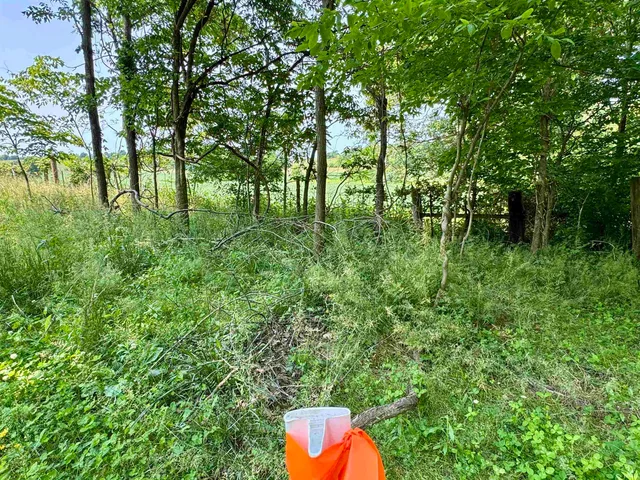 $221,000 | 2 East East State Road 56, Paoli, IN 47454