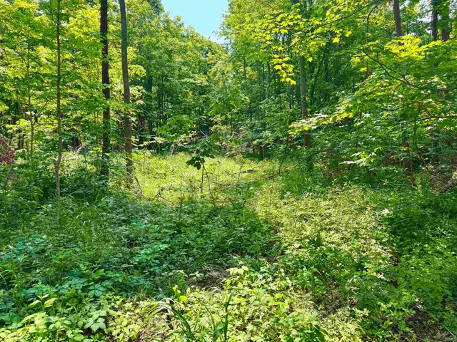 $221,000 | 2 East East State Road 56, Paoli, IN 47454