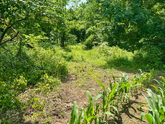 $221,000 | 2 East East State Road 56, Paoli, IN 47454