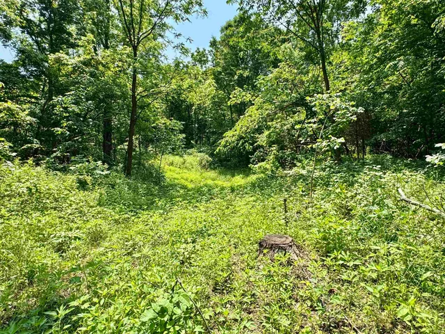 $221,000 | 2 East East State Road 56, Paoli, IN 47454