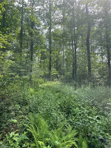 $45,000 | Tbd Boomer Road, Boomer, NC 28606