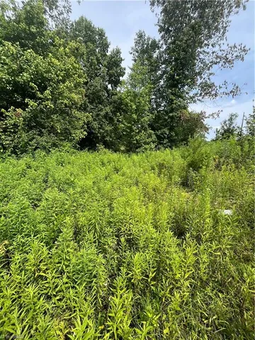 $45,000 | Tbd Boomer Road, Boomer, NC 28606