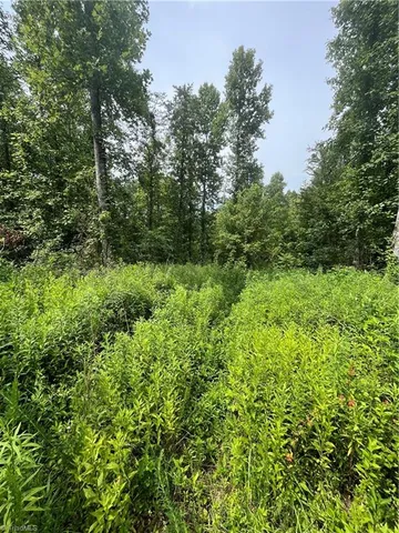 $45,000 | Tbd Boomer Road, Boomer, NC 28606