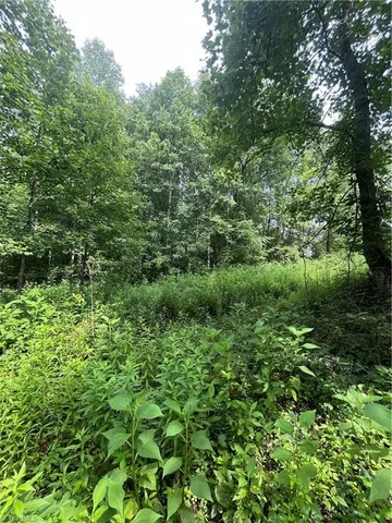 $45,000 | Tbd Boomer Road, Boomer, NC 28606