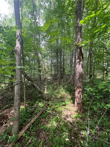 $45,000 | Tbd Boomer Road, Boomer, NC 28606