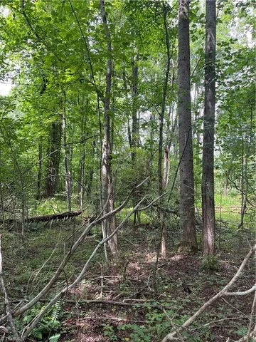 $45,000 | Tbd Boomer Road, Boomer, NC 28606
