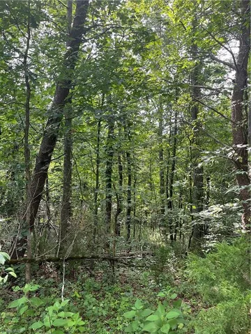 $45,000 | Tbd Boomer Road, Boomer, NC 28606