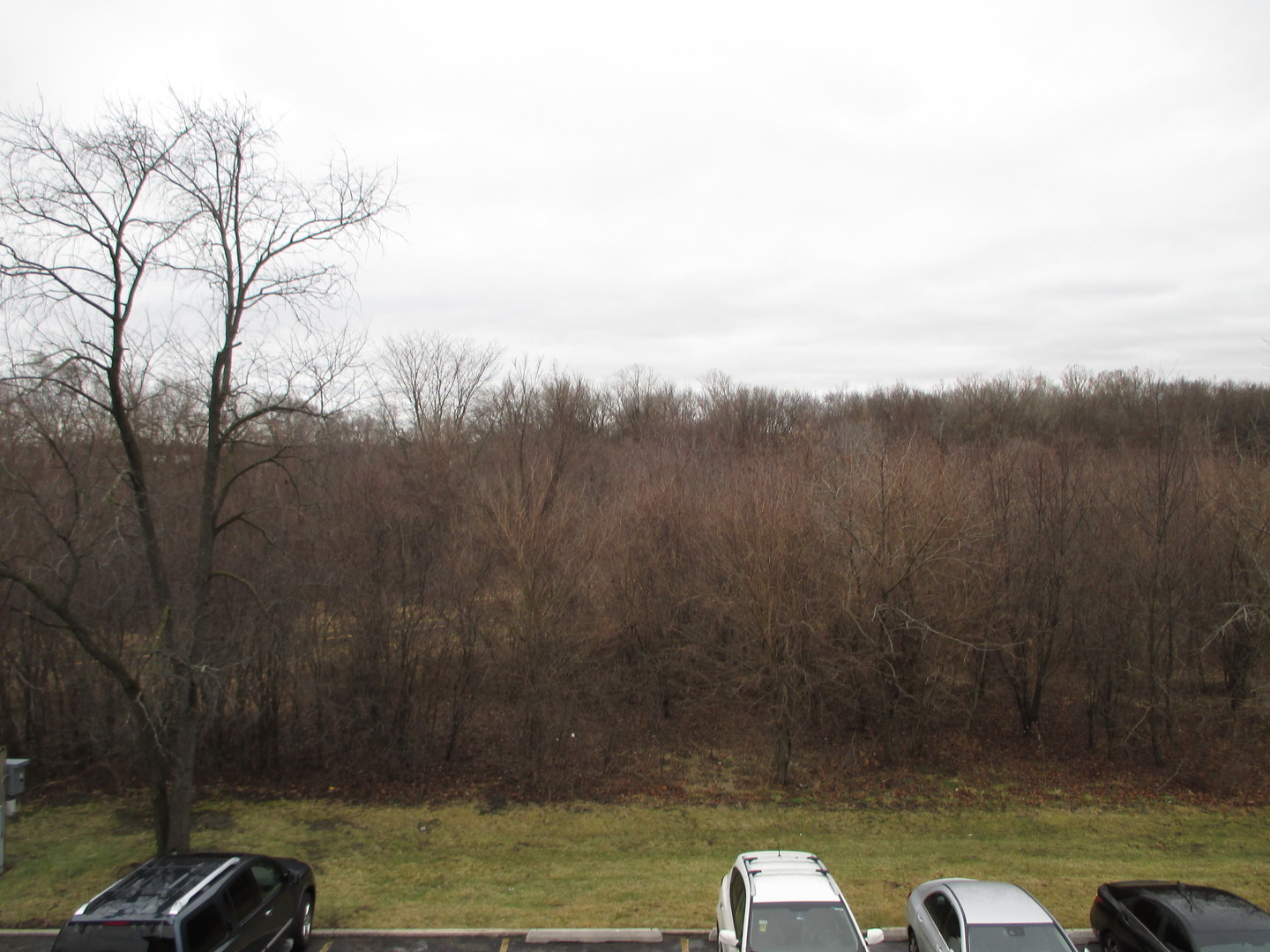 4010 150th Street, Unit 10 Midlothian, IL 60445 - Photo 12 of 13 a view of a yard