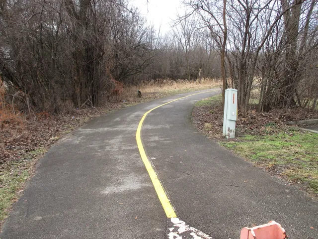 a view of a yard with trees