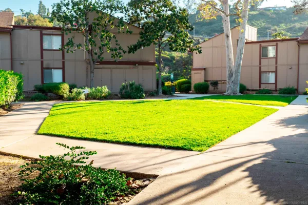a front view of a house with a yard and trees