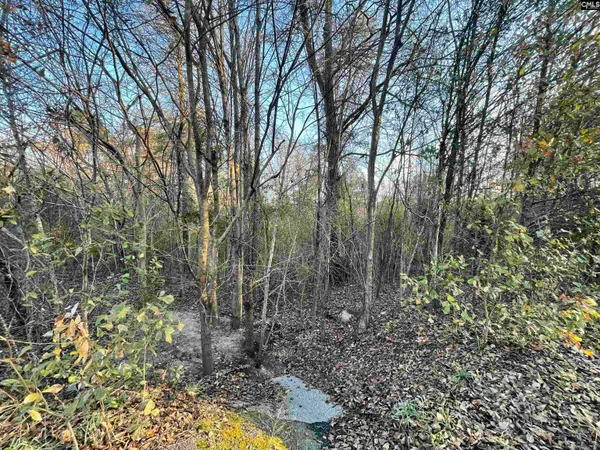 $25,000 | Lot 6 Forest Circle, New Ellenton, SC 29809
