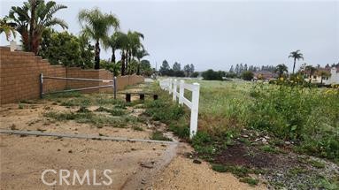 10379 Wilson Avenue Rancho Cucamonga, CA 91737 - Photo 3 of 6 a view of a yard with a tree