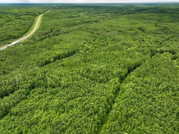 $985,000 | 0 State Highway, Gordon, WI 54838