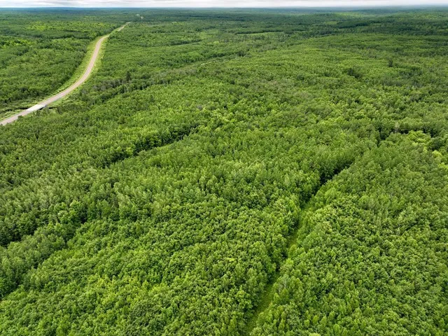 $1,000,000 | 0 State Highway, Gordon, WI 54838