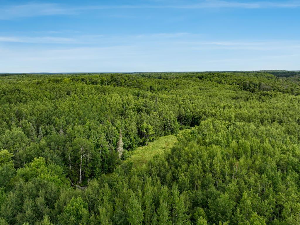 0 State Highway Gordon, WI 54838 - Photo 6 of 11