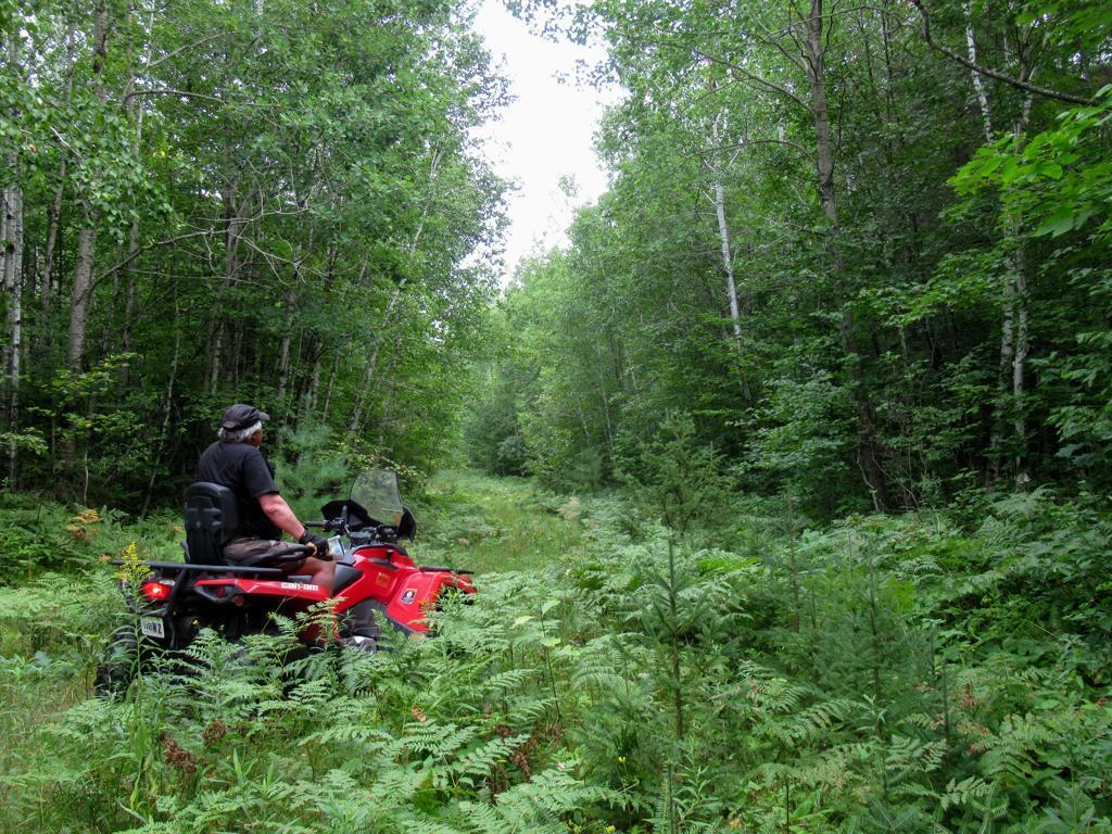 0 State Highway Gordon, WI 54838 - Photo 7 of 11