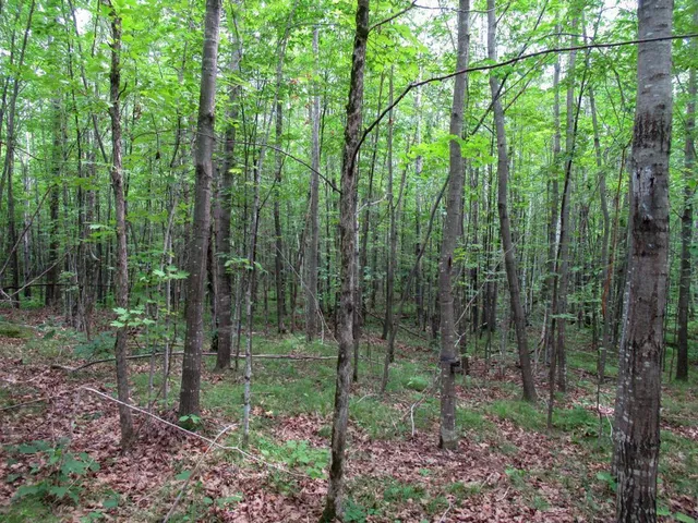 $1,000,000 | 0 State Highway, Gordon, WI 54838