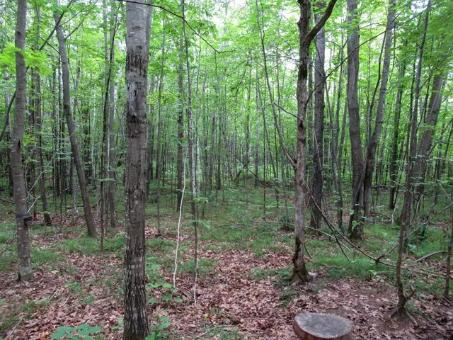 $1,000,000 | 0 State Highway, Gordon, WI 54838