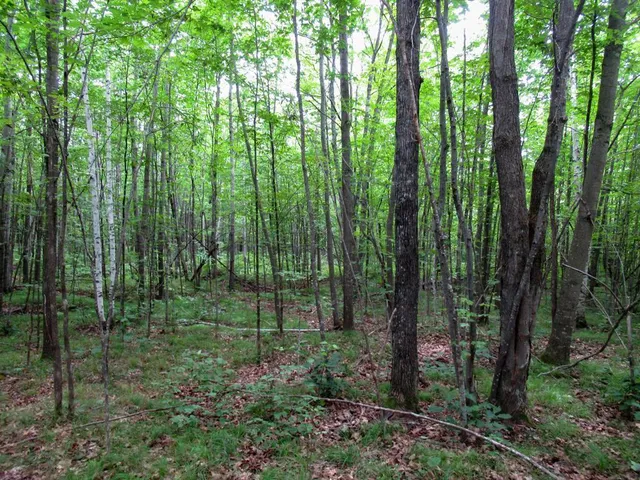 $1,000,000 | 0 State Highway, Gordon, WI 54838