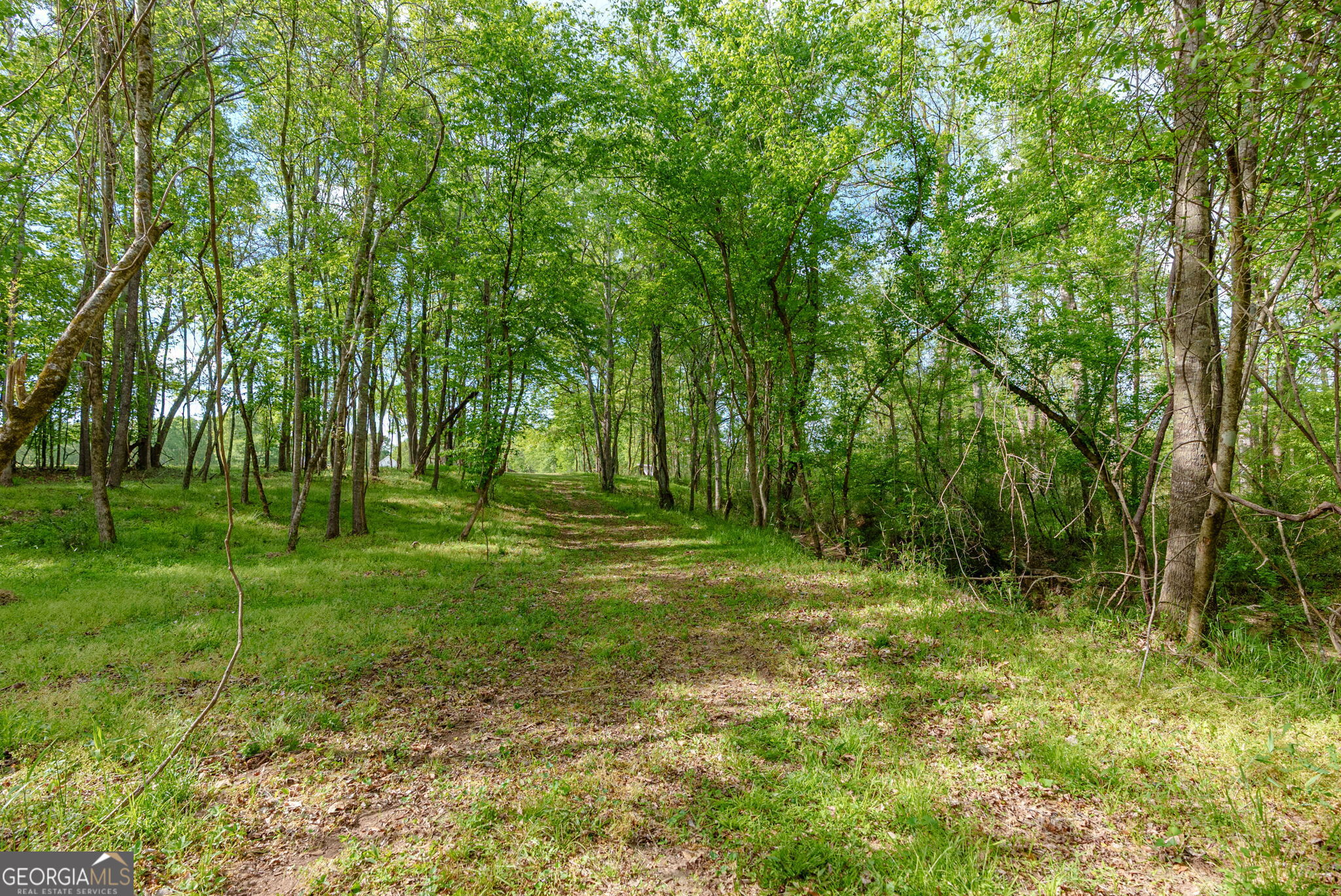 235 Glades Road Eatonton, GA 31024 - Photo 8 of 79