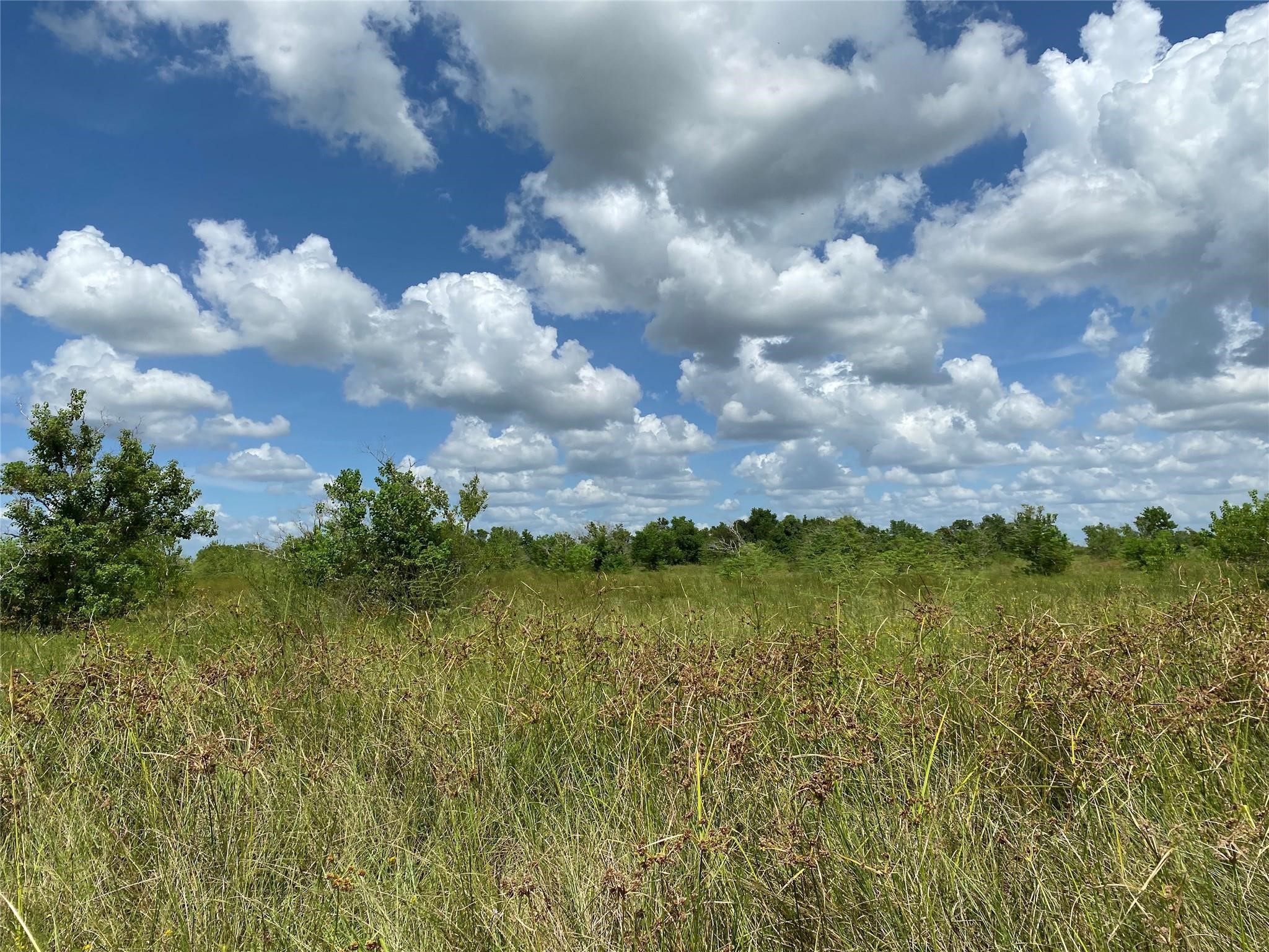 3 Kveton Cat Spring Cat Spring, TX 78933 - Photo 5 of 11