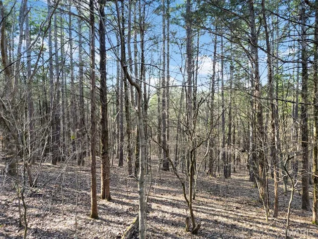 $100,000 | Lot 3 Parkview Drive, Blackwell, MO 63626