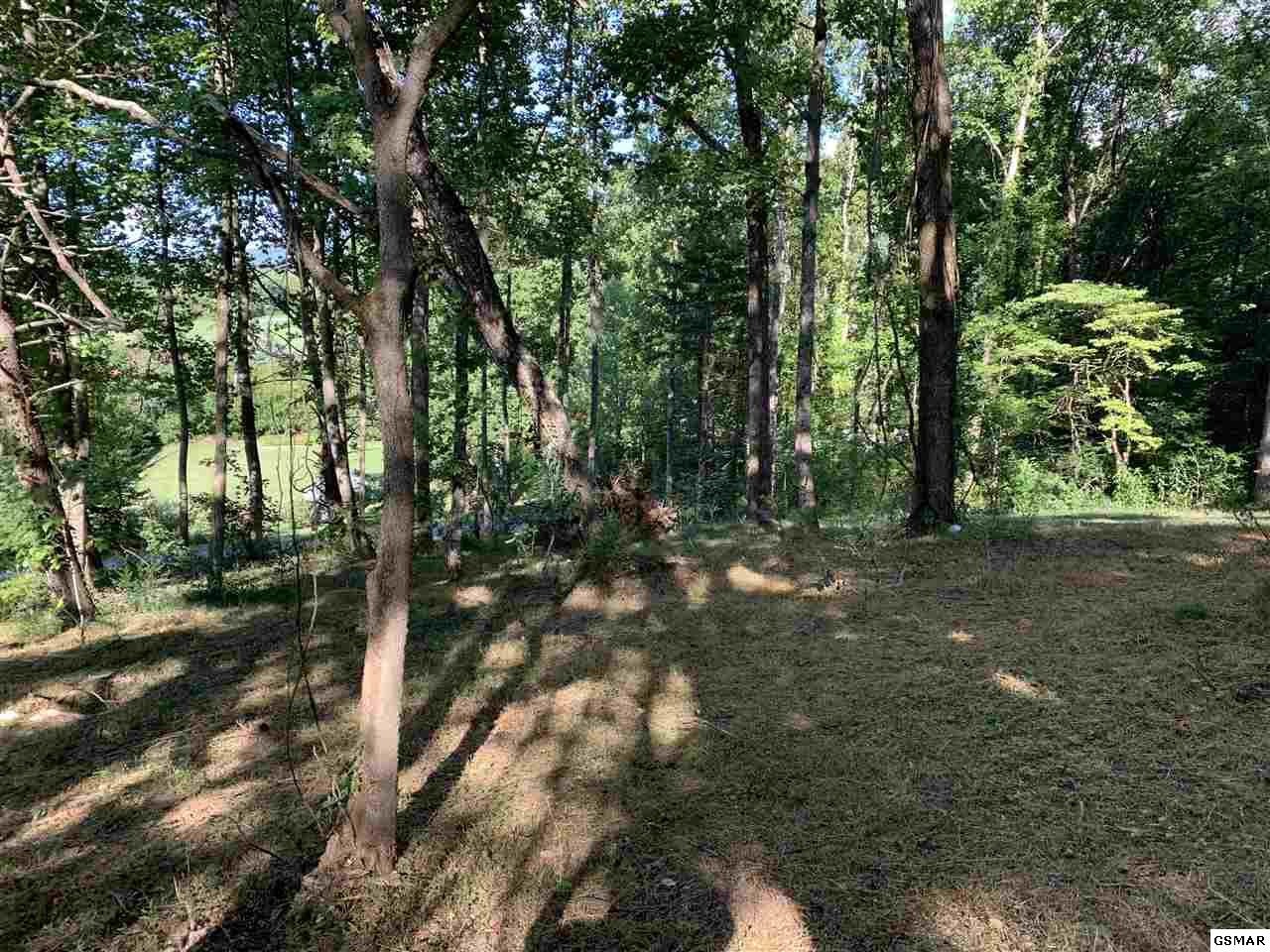 37 Mattox Cemetery Road Sevierville, TN 37862 - Photo 1 of 4