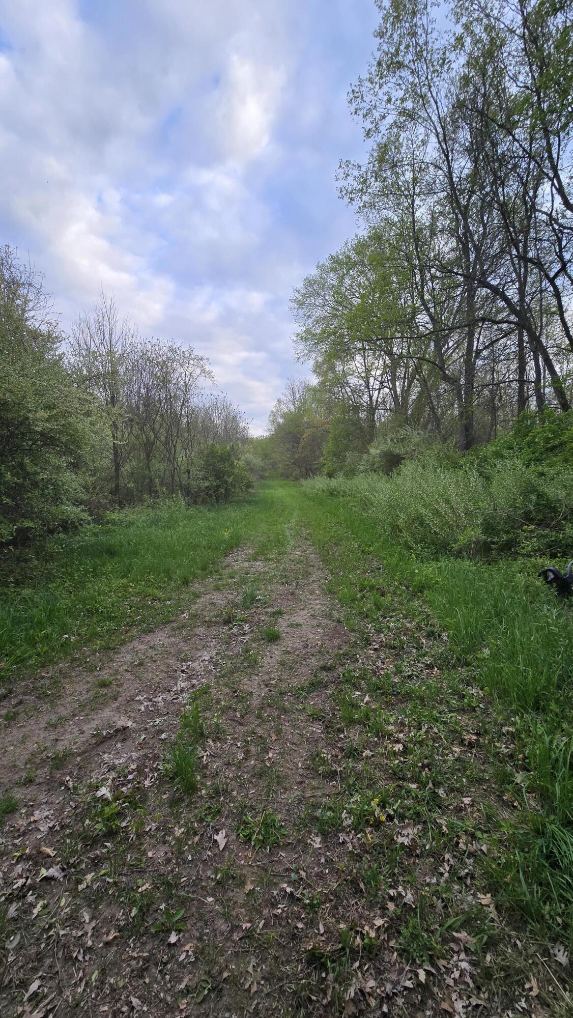 690 Pierce Road Plainwell, MI 49080 - Photo 12 of 70 20260506_192735
