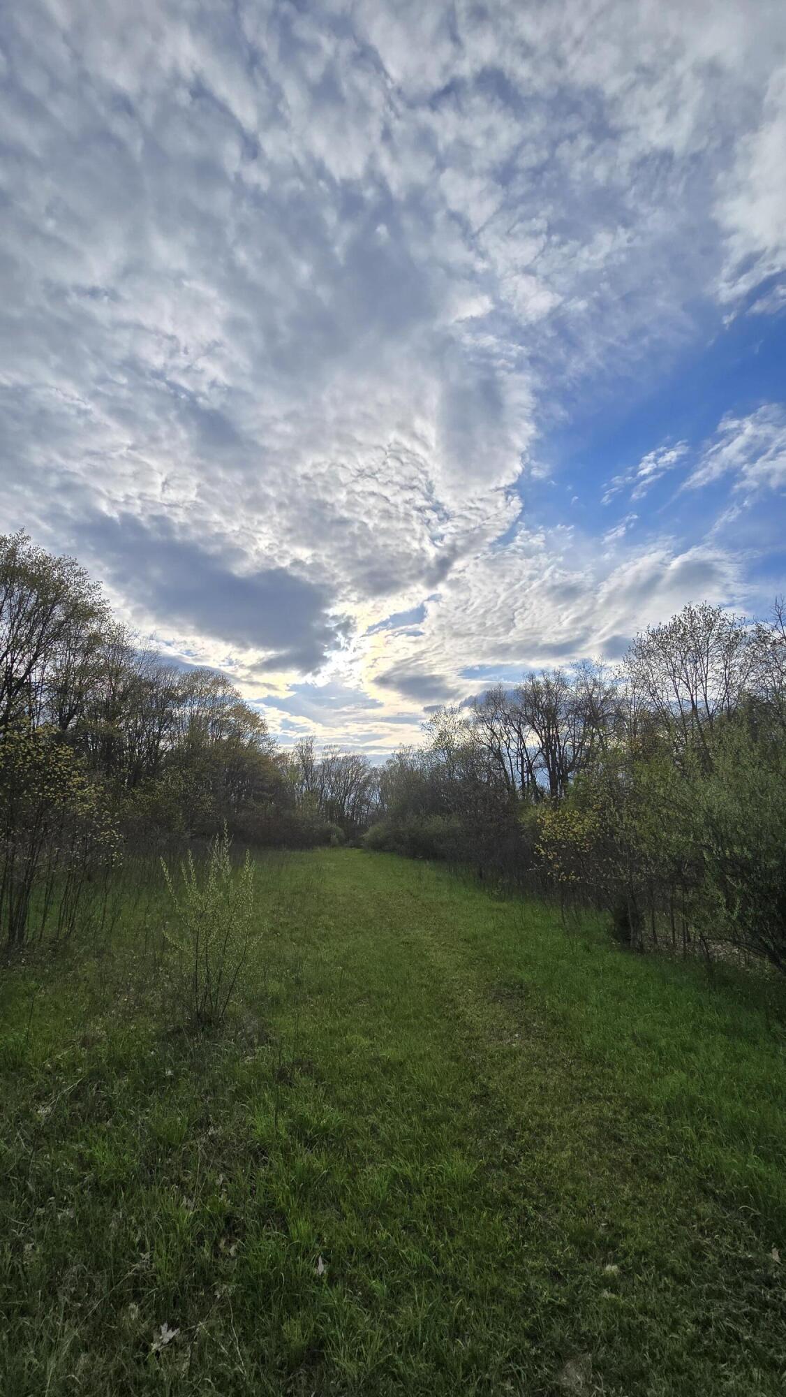 690 Pierce Road Plainwell, MI 49080 - Photo 16 of 70 20260506_190240