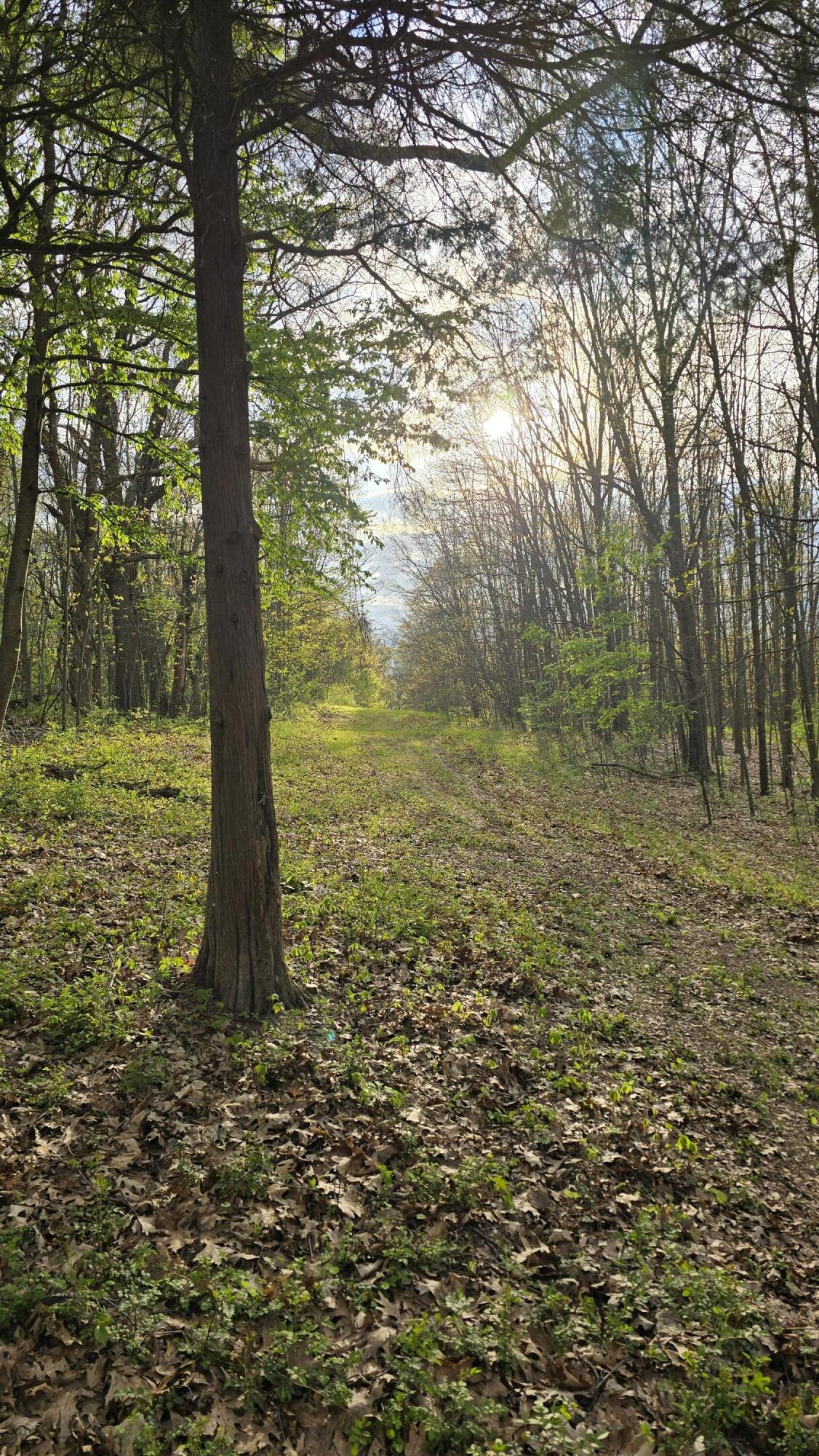 690 Pierce Road Plainwell, MI 49080 - Photo 23 of 70 20260506_191327