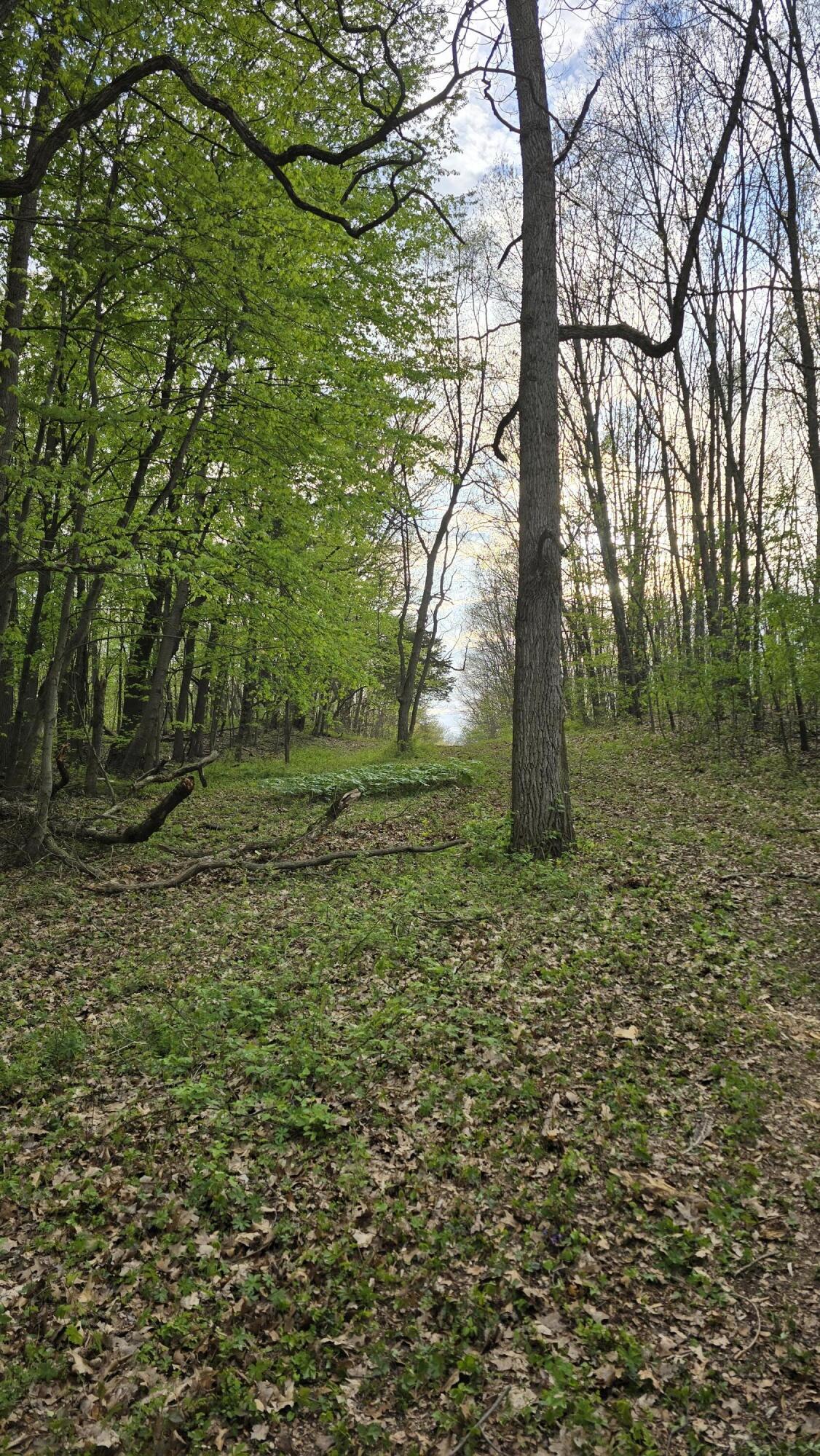 690 Pierce Road Plainwell, MI 49080 - Photo 24 of 70 20260506_191409