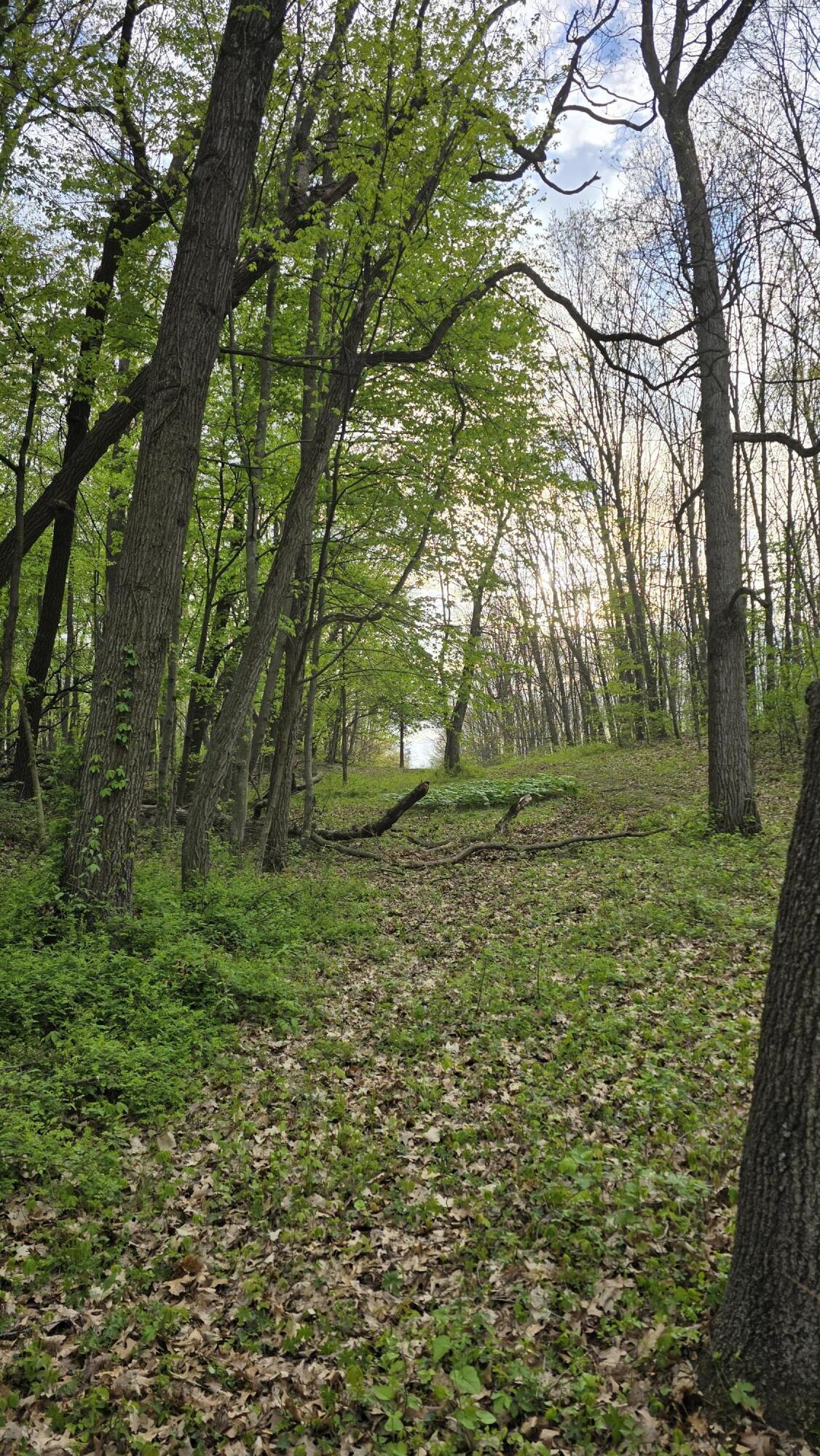 690 Pierce Road Plainwell, MI 49080 - Photo 25 of 70 20260506_191416