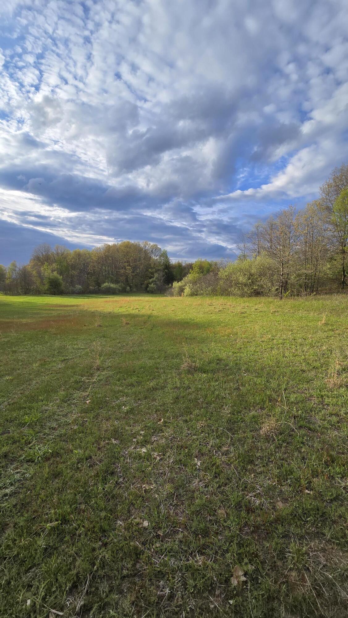 690 Pierce Road Plainwell, MI 49080 - Photo 28 of 70 20260506_191629