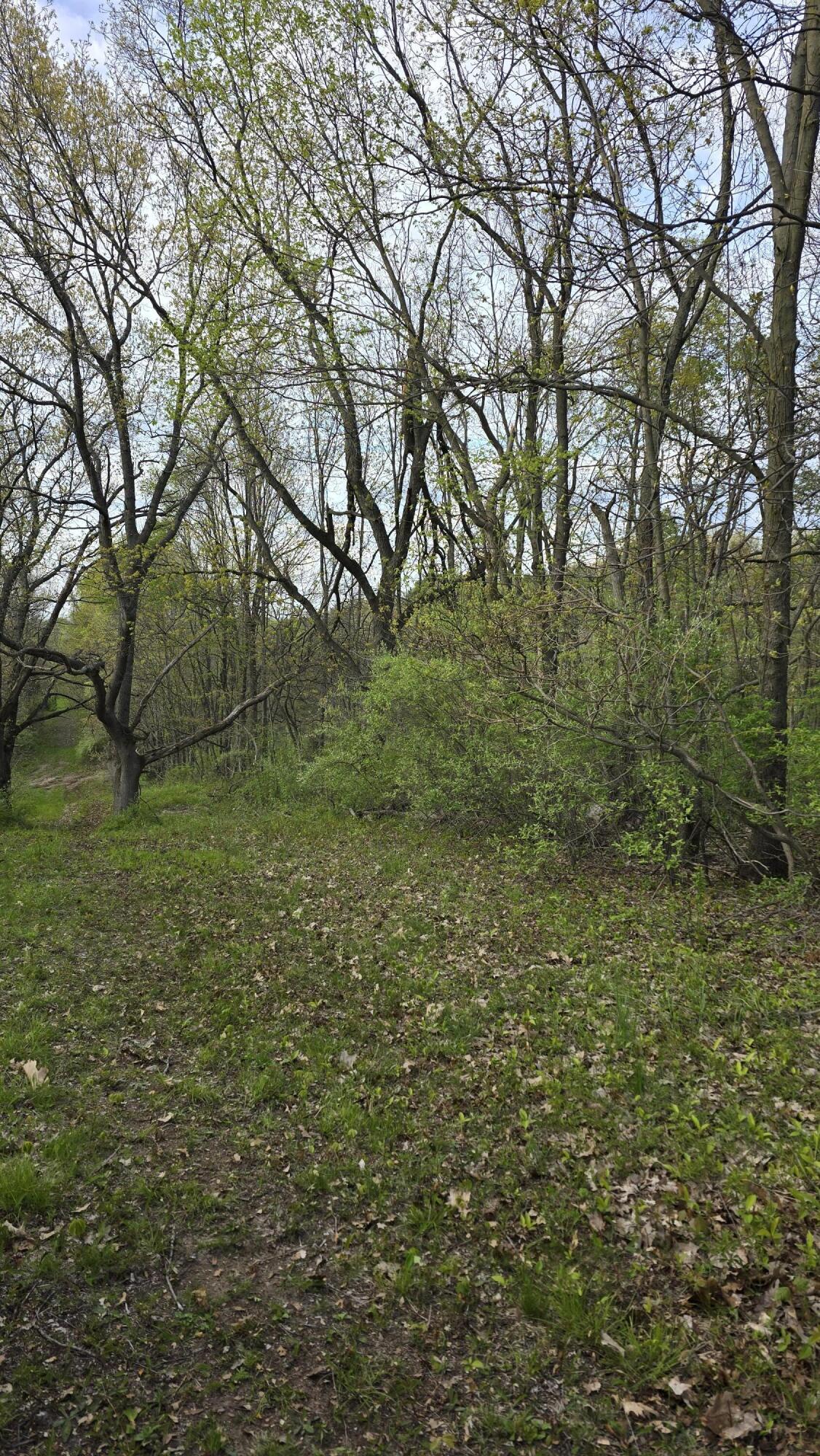 690 Pierce Road Plainwell, MI 49080 - Photo 33 of 70 20260506_183827