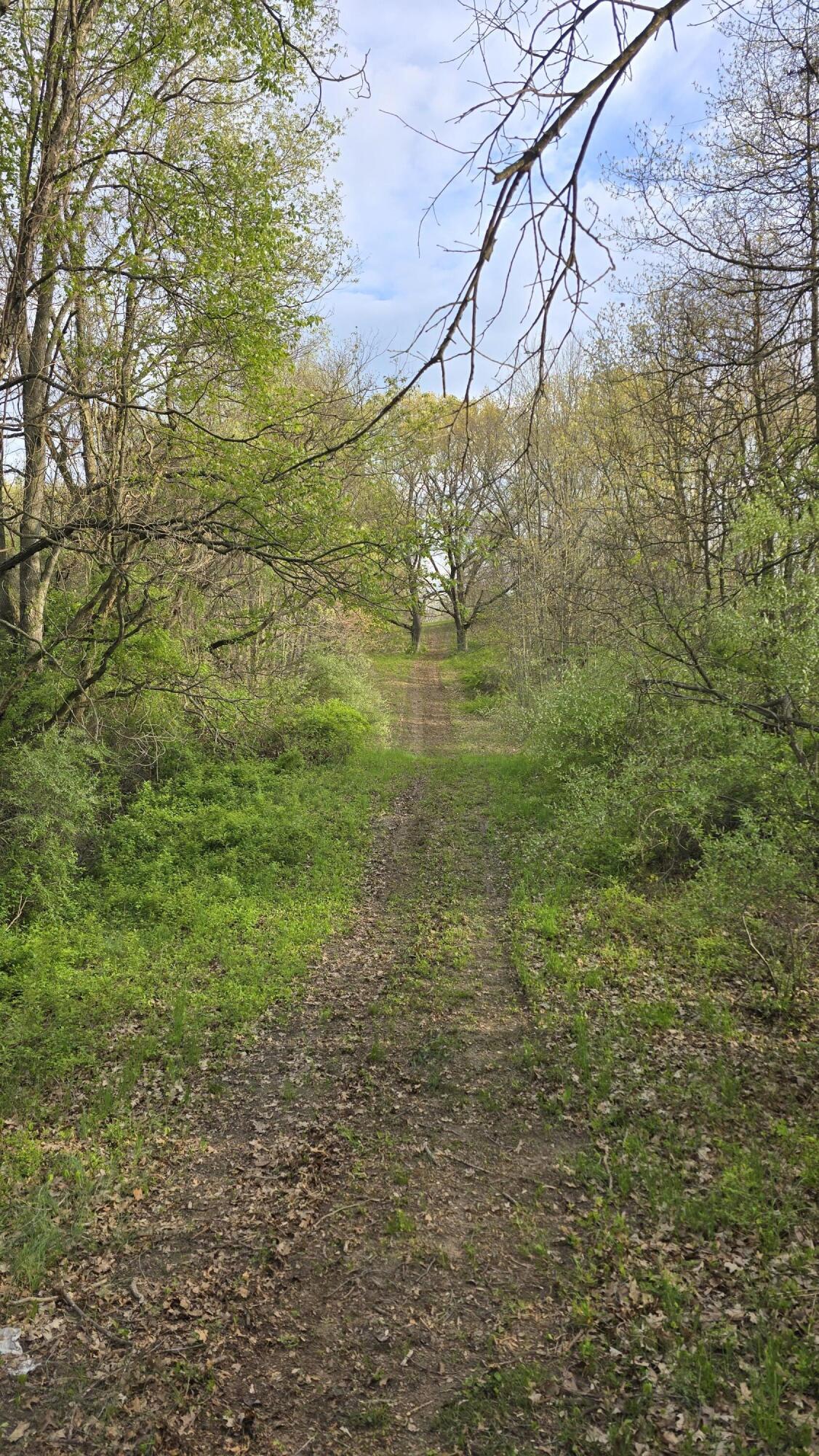 690 Pierce Road Plainwell, MI 49080 - Photo 34 of 70 20260506_184558