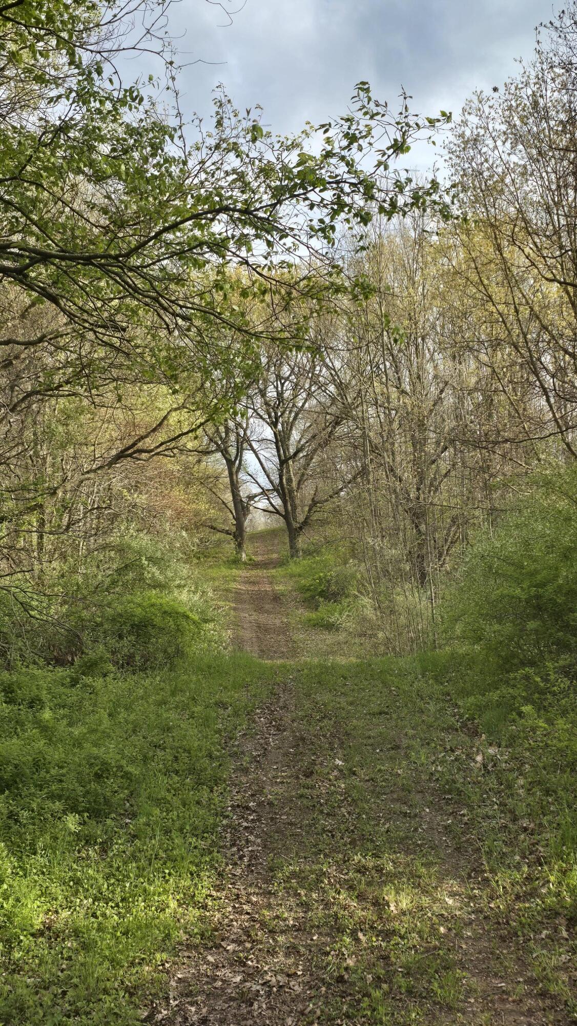 690 Pierce Road Plainwell, MI 49080 - Photo 39 of 70 20260506_185658