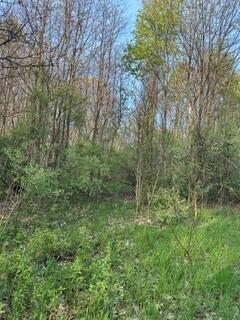 690 Pierce Road Plainwell, MI 49080 - Photo 54 of 70 Marsh & Pierce 28