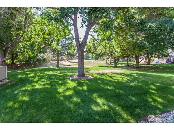 a view of yard with large trees