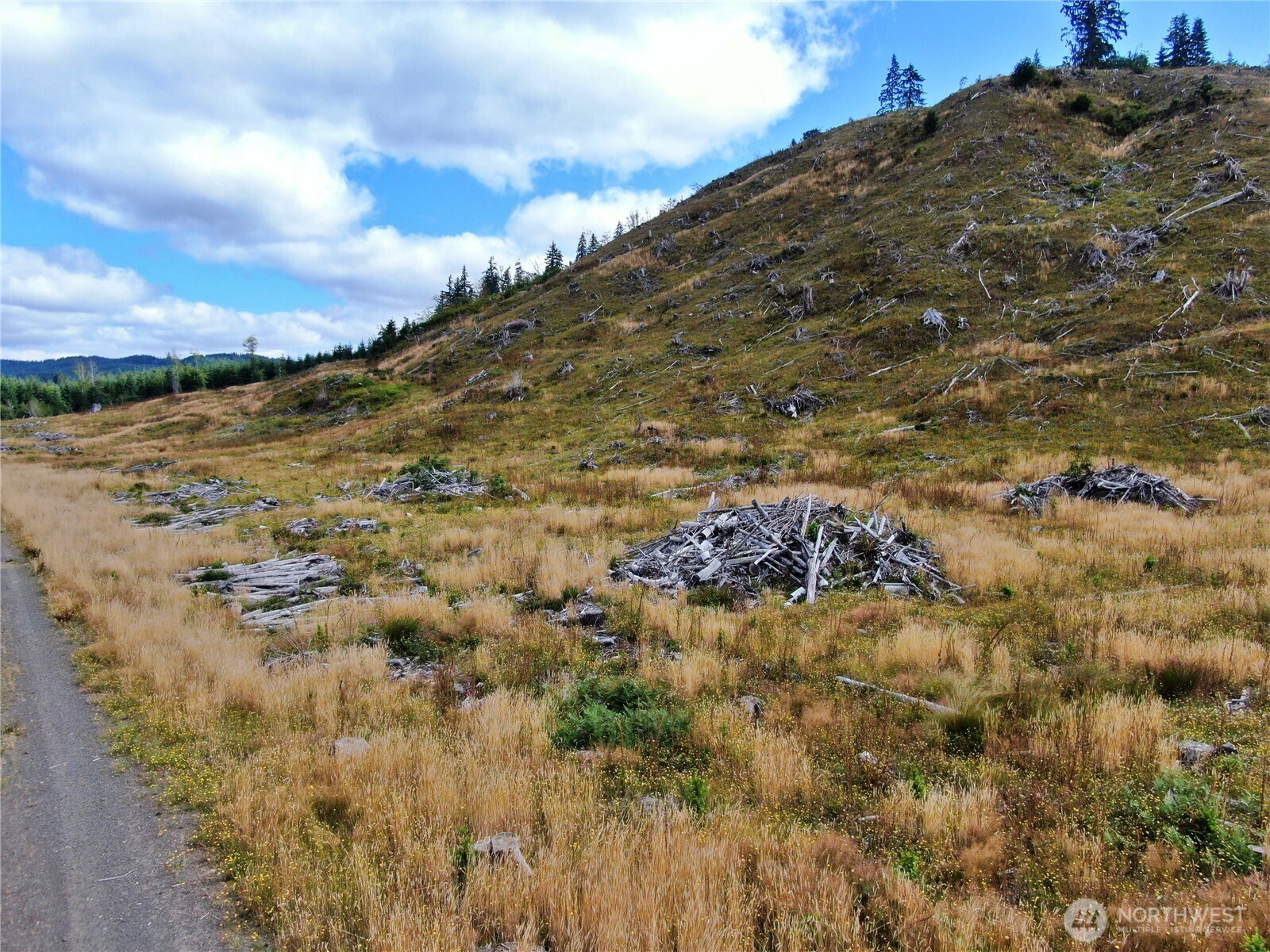 -off Of North River Road Cosmopolis, WA 98537 - Photo 2 of 14 Gallery Image 2