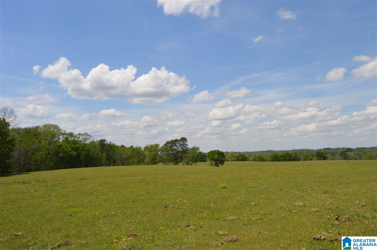8680 Manning Road, Unit 5 2 ACRES Dora, AL 35062 - Photo 2 of 2