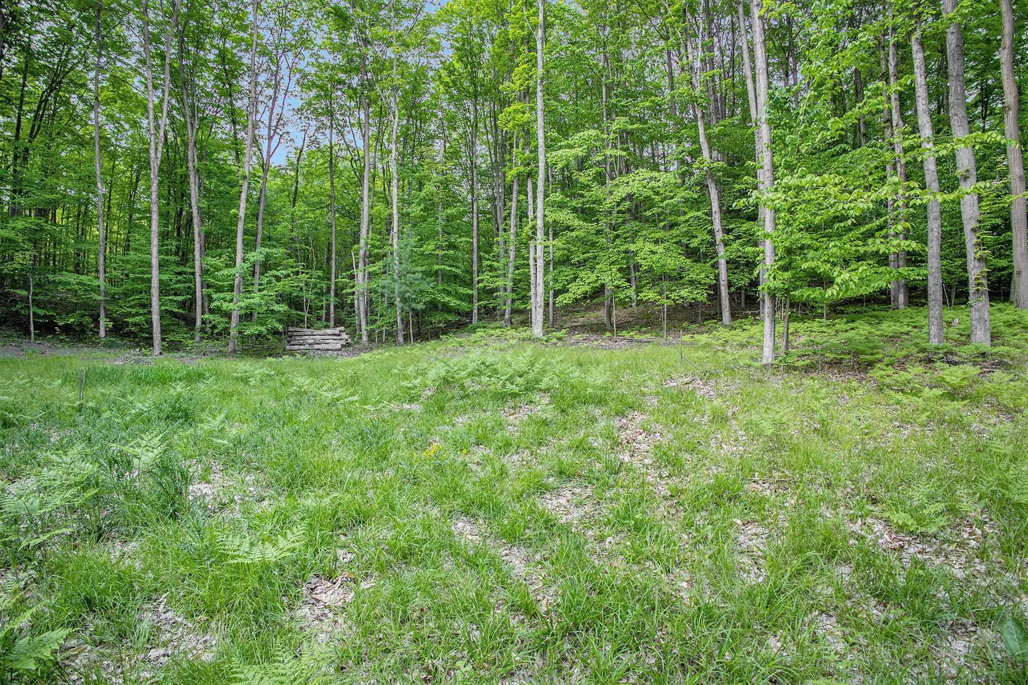 0 Warren Road Beulah, MI 49617 - Photo 14 of 19 Gallery Image 14