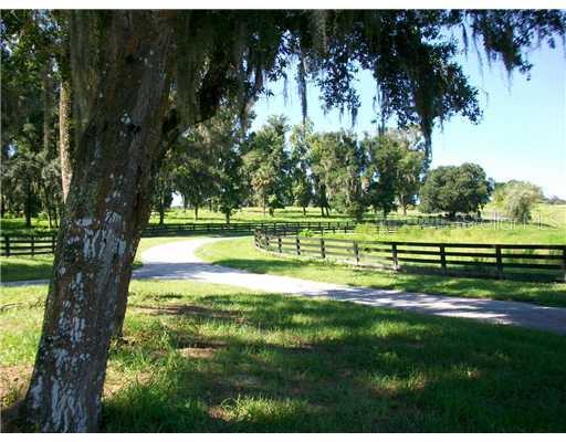 Bozeman Road Dade City, FL 33525 - Photo 12 of 12 View