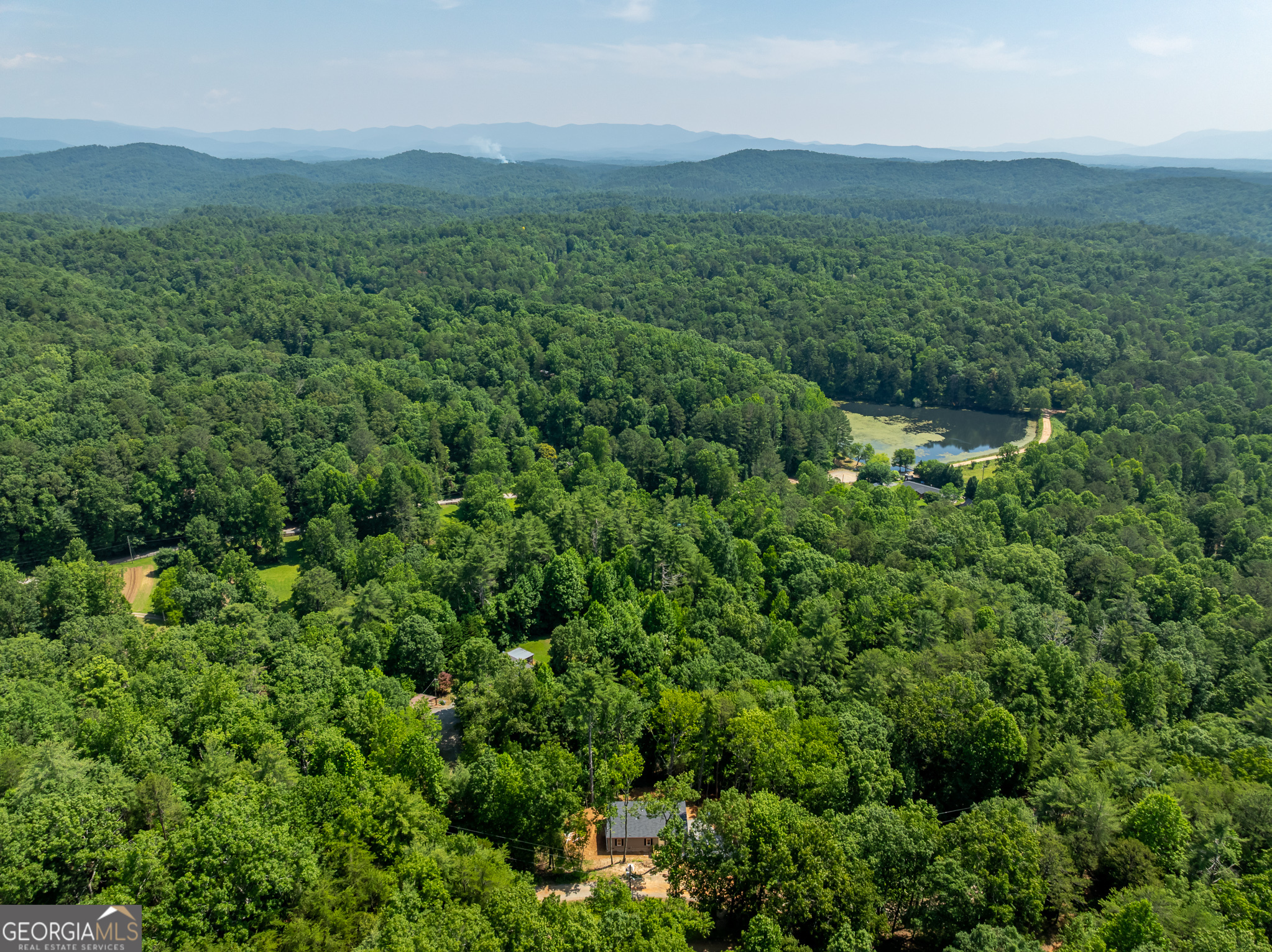134 Double Line Road Ellijay, GA 30540 - Photo 6 of 33 a view of a lush green forest with trees in the background