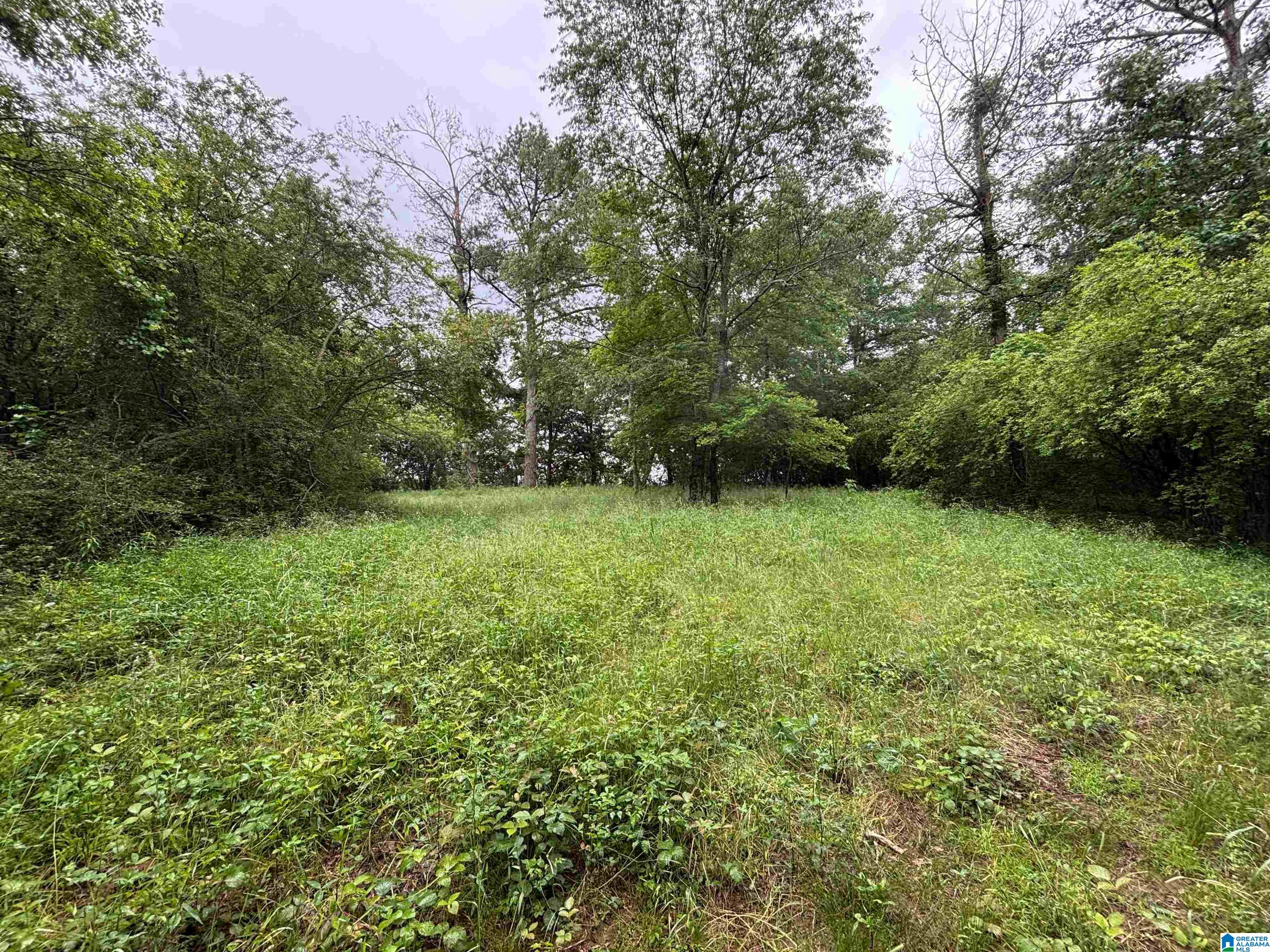 0 Bright Star Road, Unit 123 / ACRES Horton, AL 35980 - Photo 13 of 21