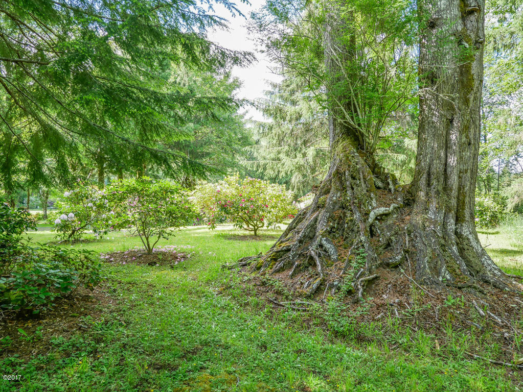 847 Hamer Road Siletz, OR 97380 - Photo 72 of 79 Old Growth Trees