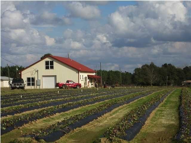 a view of a white house next to a yard with big trees