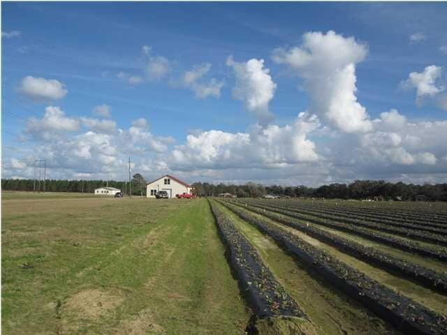 1054 Melton Road Baker, FL 32531 - Photo 3 of 34 a view of a yard and an ocean view