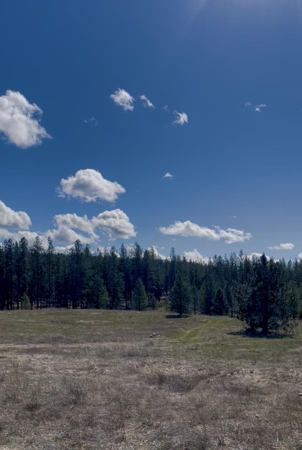 Nine West Mckenzie Woolard Road Deer Park, WA 99006 - Photo 3 of 4