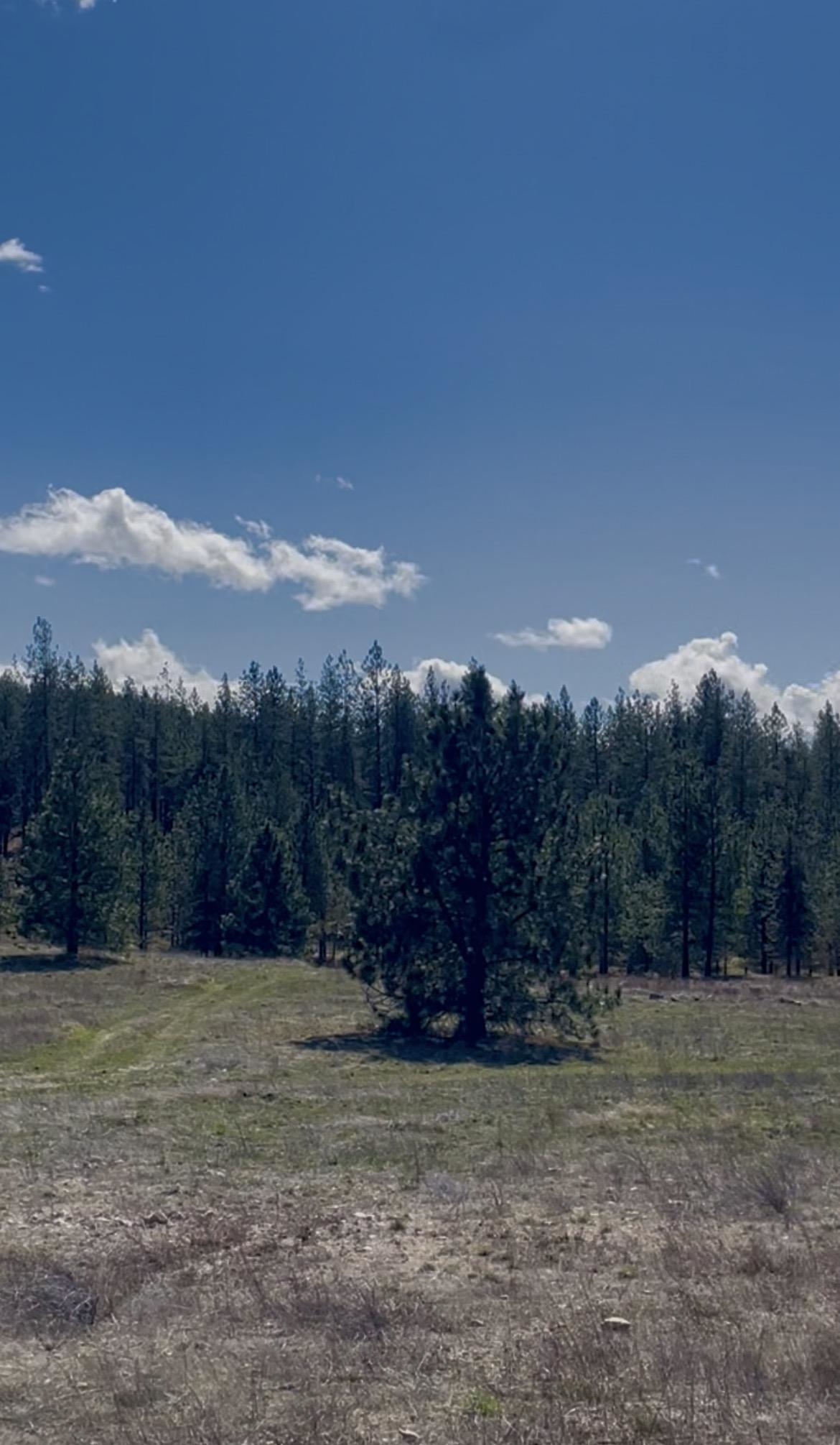 Nine West Mckenzie Woolard Road Deer Park, WA 99006 - Photo 4 of 4