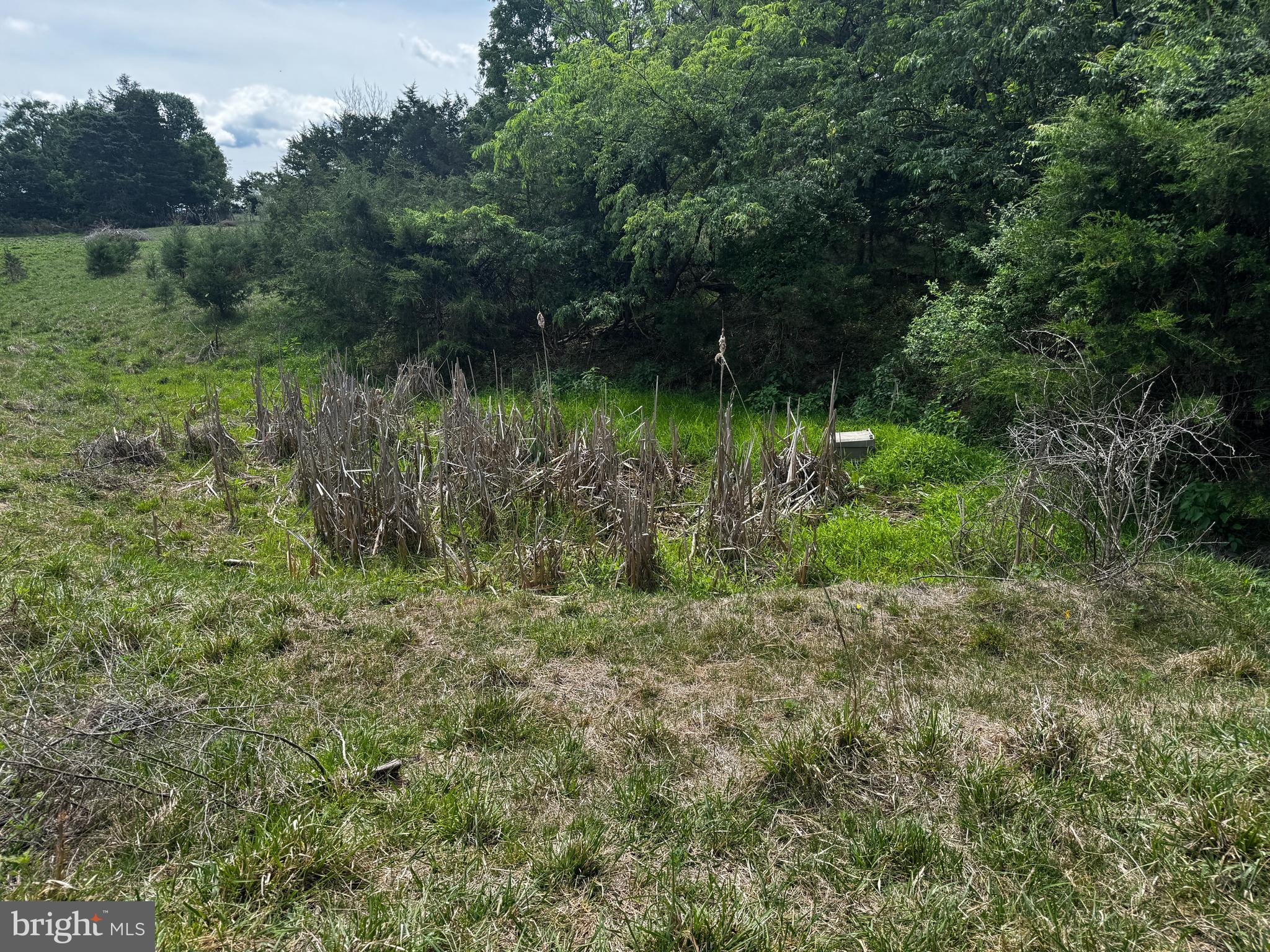 140 Huttle Road Stephens City, VA 22655 - Photo 4 of 20 Land